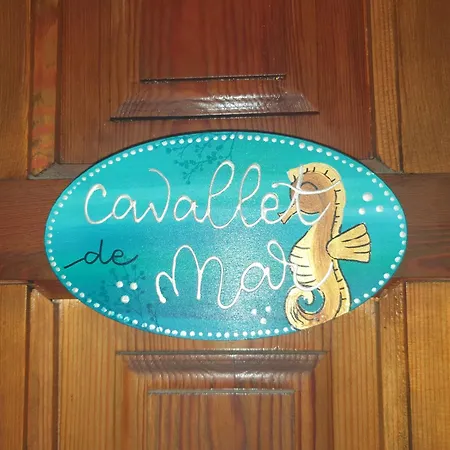 Cavallet De Mar P4, Aprop De Platja Del Pas Apartmán El Port De La Selva